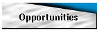 Opportunities